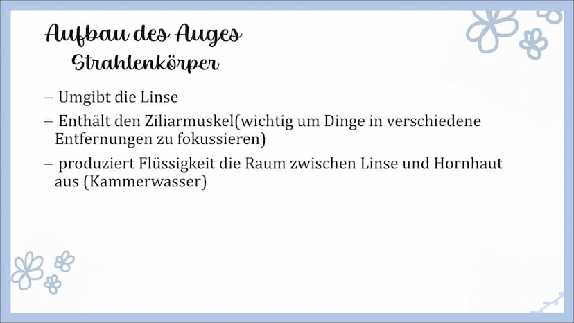 Sinnesorgan Auge
von Angelina, Michelle und Femke Gliederung
- Innerer Aufbau des Auges
Hornhaut
Lederhaut
Regenbogenhaut
Pupille
Linse
Glas