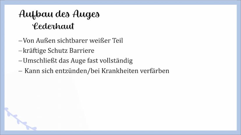 Sinnesorgan Auge
von Angelina, Michelle und Femke Gliederung
- Innerer Aufbau des Auges
Hornhaut
Lederhaut
Regenbogenhaut
Pupille
Linse
Glas