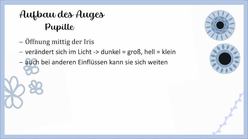 Sinnesorgan Auge
von Angelina, Michelle und Femke Gliederung
- Innerer Aufbau des Auges
Hornhaut
Lederhaut
Regenbogenhaut
Pupille
Linse
Glas