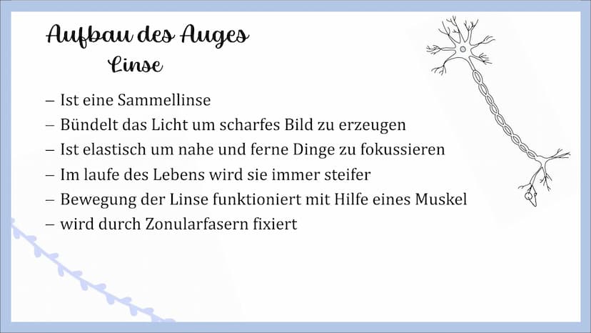 Sinnesorgan Auge
von Angelina, Michelle und Femke Gliederung
- Innerer Aufbau des Auges
Hornhaut
Lederhaut
Regenbogenhaut
Pupille
Linse
Glas