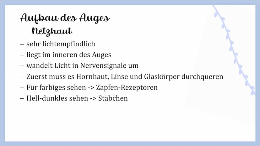 Sinnesorgan Auge
von Angelina, Michelle und Femke Gliederung
- Innerer Aufbau des Auges
Hornhaut
Lederhaut
Regenbogenhaut
Pupille
Linse
Glas