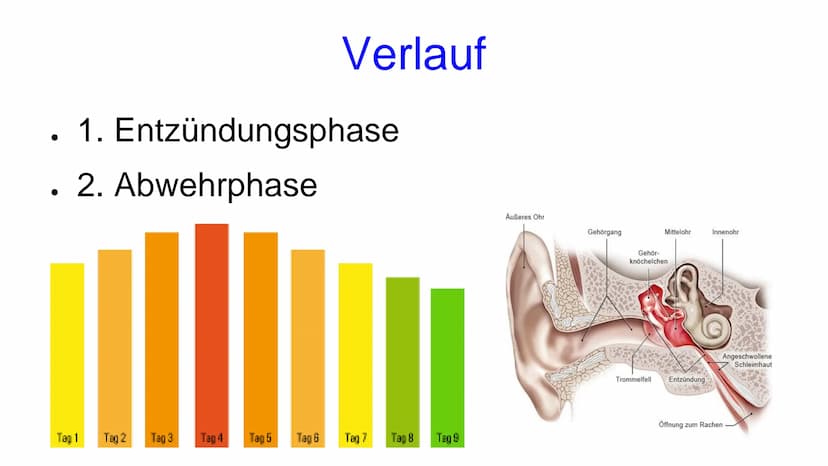 Fallbeispiel
•Eine Mutter kommt mit ihrem 3-jährigen Sohn in eine Arztpraxis
•Sie berichtet, dass sie einkaufen waren, und der Schnuller auf