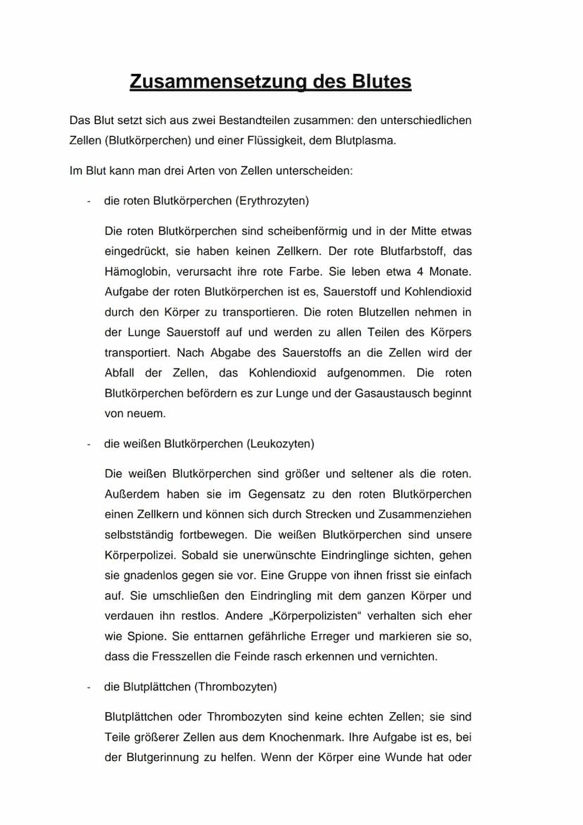 Erythrozyt
Das Blut
Leukozyt
https://www.erythrozyten.net/blut.php
Thrombozyt Inhaltsverzeichnis:
Woher kommt das Blut?
Aufgaben des Blutes
