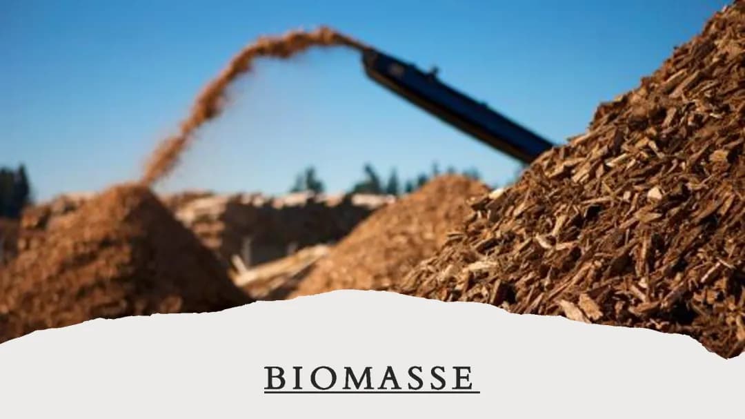 Biomasse 