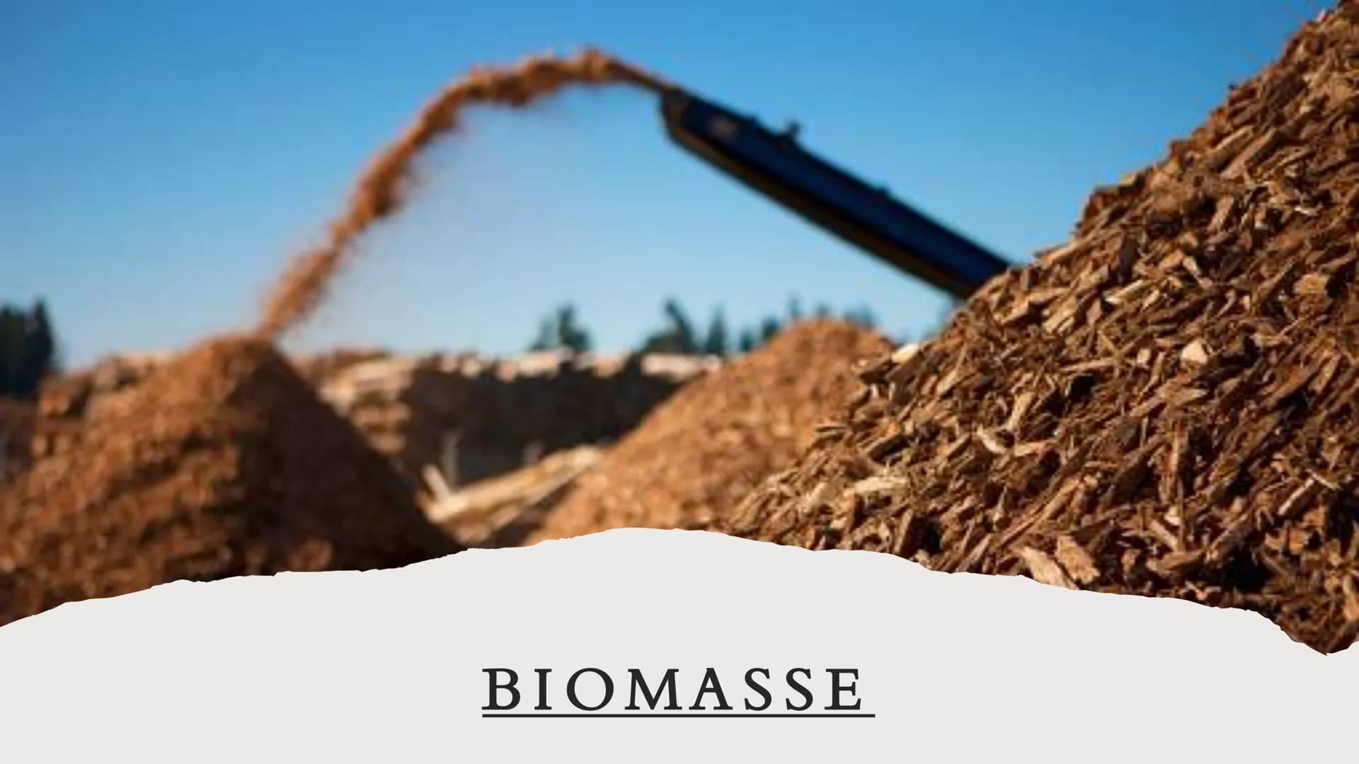 BIOMASSE INHALTSVERZEICHNIS
• Was ist Biomasse?
Allgemeine Fakten
●
Rohstoffgewinnung
Energiegewinnung
• Arten der Nutzung
●
• Vorteile
●
●
