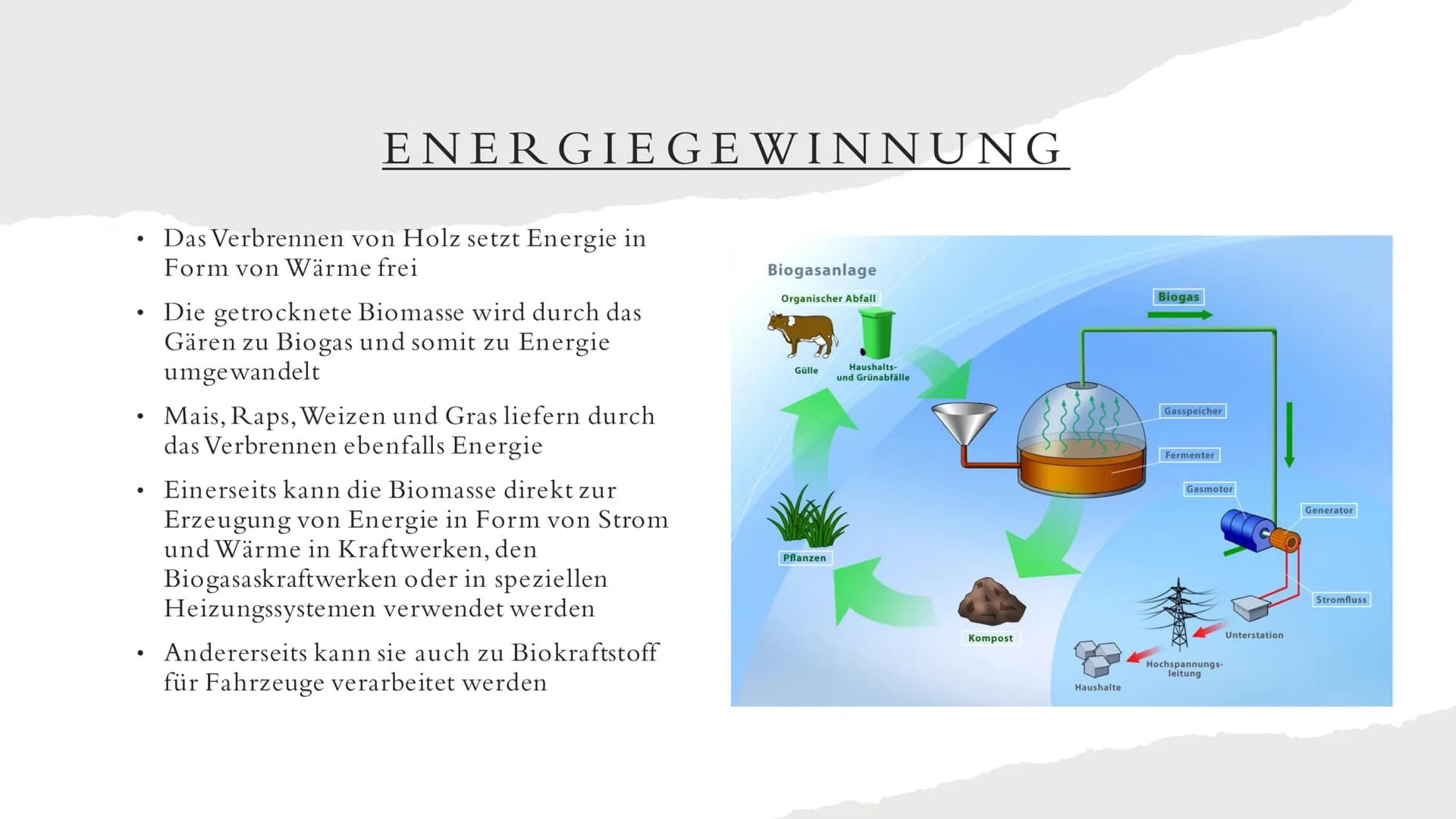 BIOMASSE INHALTSVERZEICHNIS
• Was ist Biomasse?
Allgemeine Fakten
●
Rohstoffgewinnung
Energiegewinnung
• Arten der Nutzung
●
• Vorteile
●
●
