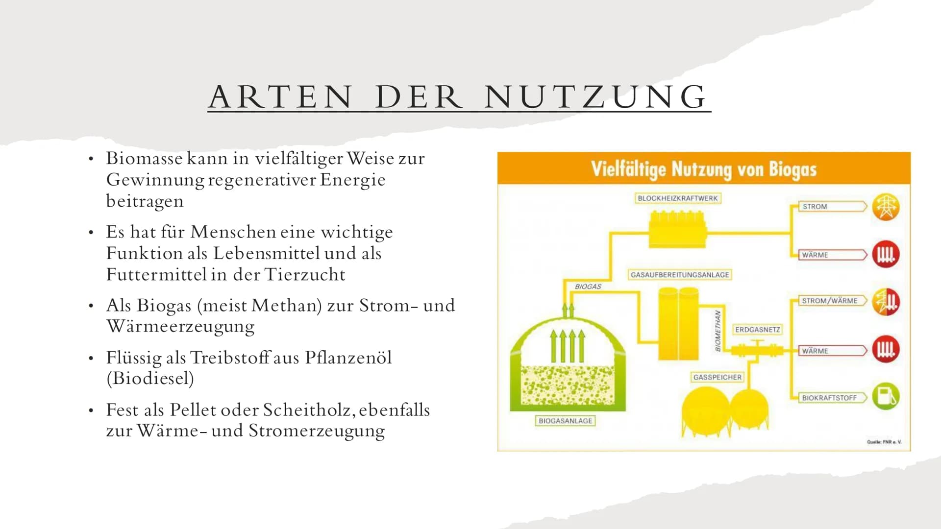 BIOMASSE INHALTSVERZEICHNIS
• Was ist Biomasse?
Allgemeine Fakten
●
Rohstoffgewinnung
Energiegewinnung
• Arten der Nutzung
●
• Vorteile
●
●

