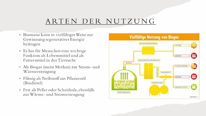 BIOMASSE INHALTSVERZEICHNIS
• Was ist Biomasse?
Allgemeine Fakten
●
Rohstoffgewinnung
Energiegewinnung
• Arten der Nutzung
●
• Vorteile
●
●
