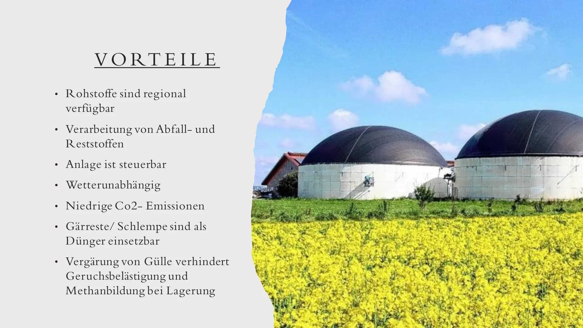BIOMASSE INHALTSVERZEICHNIS
• Was ist Biomasse?
Allgemeine Fakten
●
Rohstoffgewinnung
Energiegewinnung
• Arten der Nutzung
●
• Vorteile
●
●
