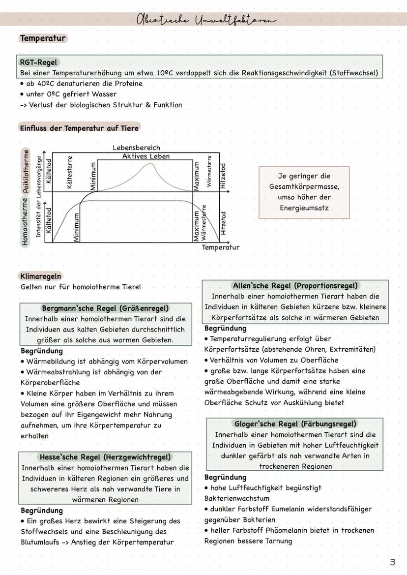 Biologie
Ökologie • Index
Umweltfaktoren
●
abiotische Umweltfaktoren
• Optimumskurve
• Temperatur (RGT-Regel, Klimaregeln, Homoiothermie und