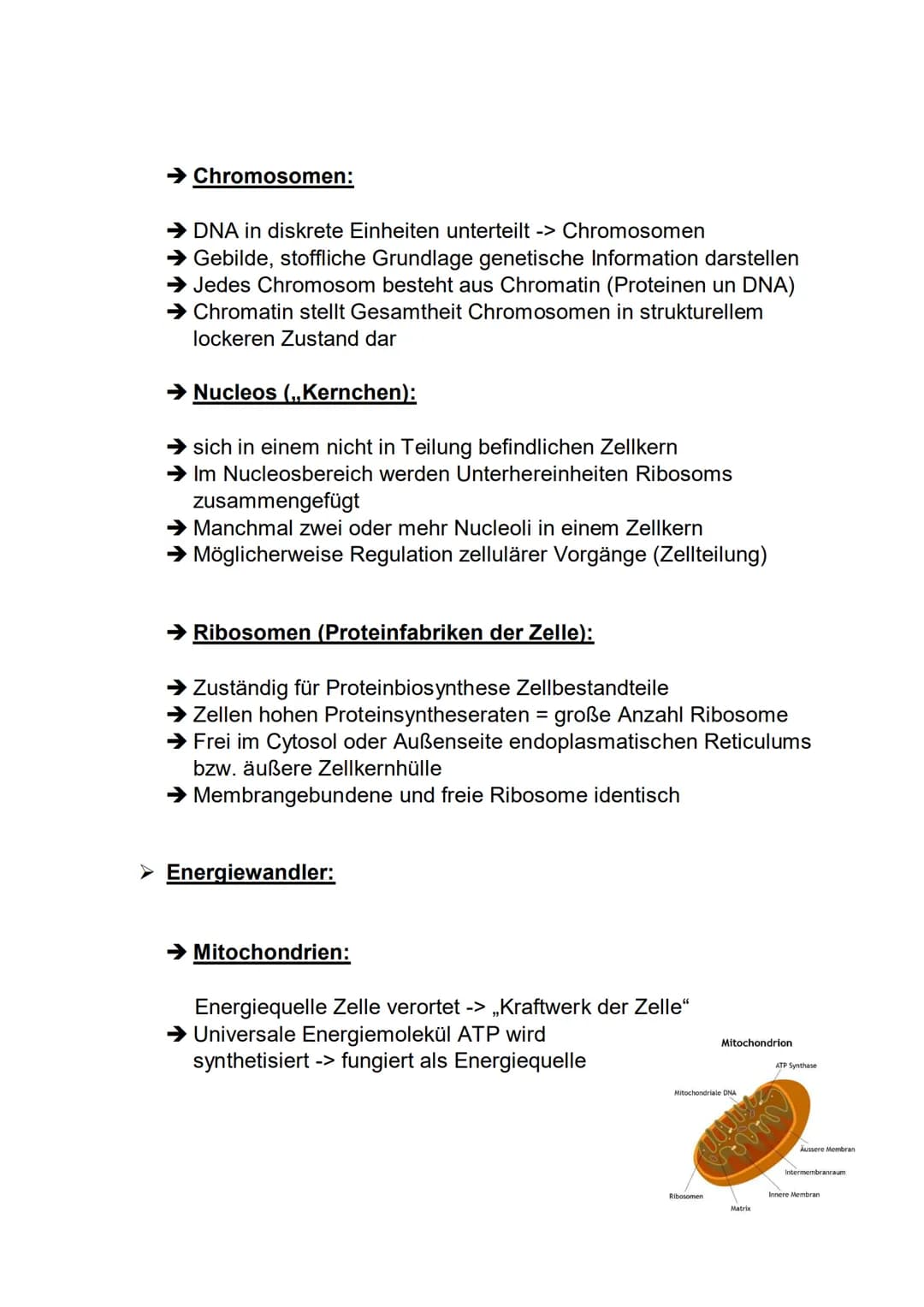 BIOLOGIE
LERNZETTEL
THEMEN:
1. Abbildung Zelle korrekt beschriften
1.1 Unterschied zwischen Pflanzen- & Tierzelle
1.2 Funktionen
2. Bau Biom