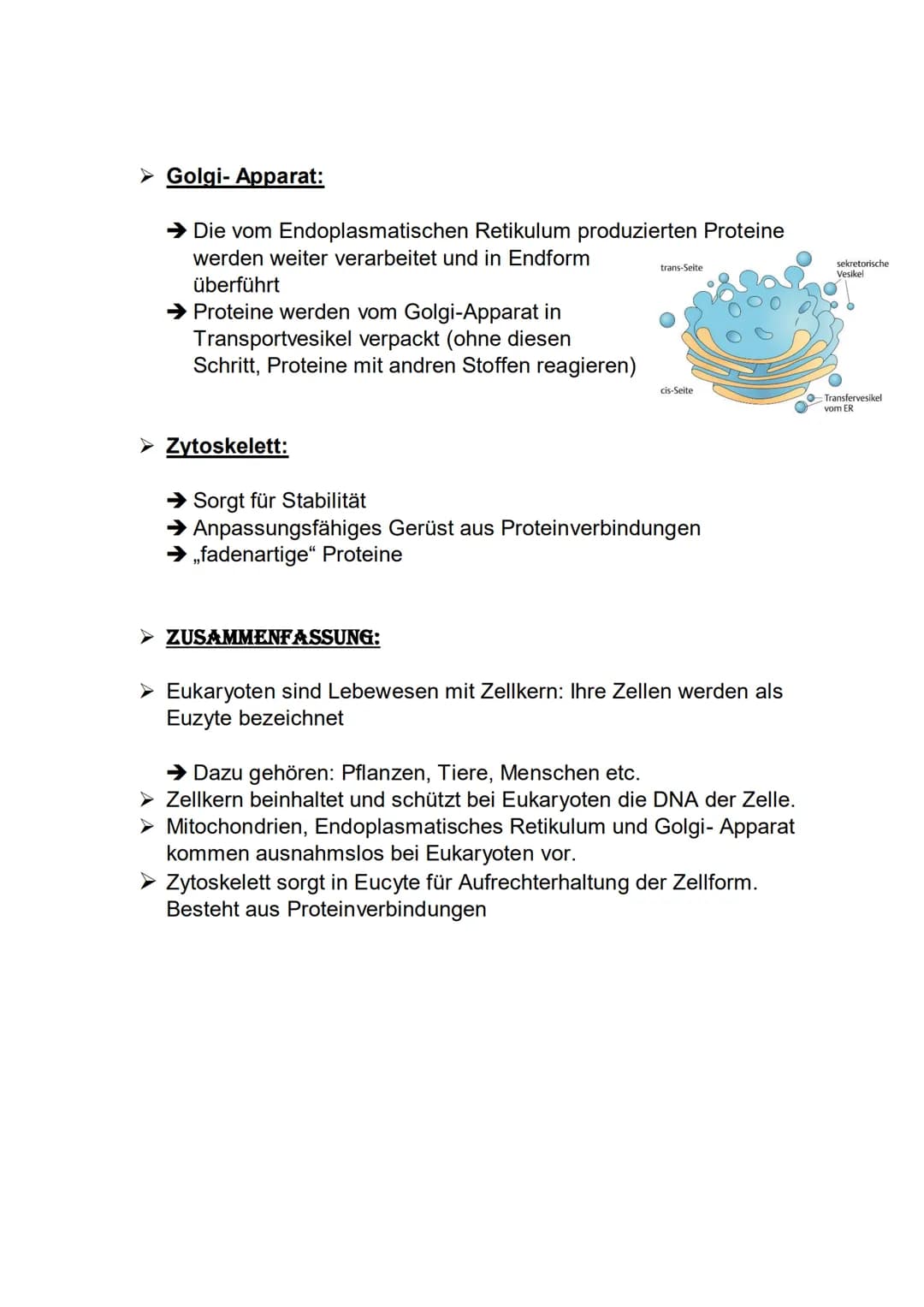 BIOLOGIE
LERNZETTEL
THEMEN:
1. Abbildung Zelle korrekt beschriften
1.1 Unterschied zwischen Pflanzen- & Tierzelle
1.2 Funktionen
2. Bau Biom
