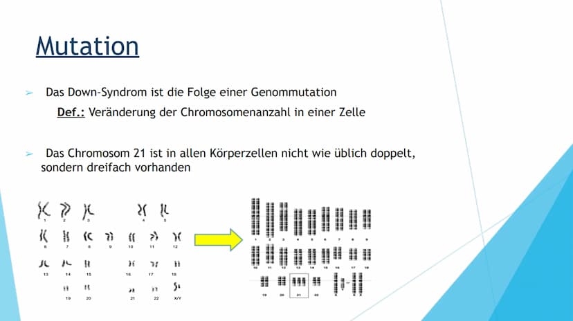 DOWN-SYNDROM
TRISOMIE 21 Inhaltsverzeichnis
1. Definition der Erkrankung
2. Mutation
3. Ursache
4. Formen der Erkrankung
Freie Trisomie 21
T
