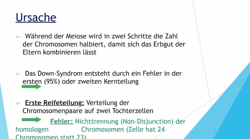 DOWN-SYNDROM
TRISOMIE 21 Inhaltsverzeichnis
1. Definition der Erkrankung
2. Mutation
3. Ursache
4. Formen der Erkrankung
Freie Trisomie 21
T