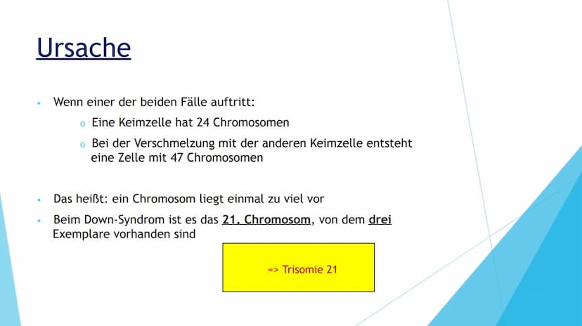 DOWN-SYNDROM
TRISOMIE 21 Inhaltsverzeichnis
1. Definition der Erkrankung
2. Mutation
3. Ursache
4. Formen der Erkrankung
Freie Trisomie 21
T