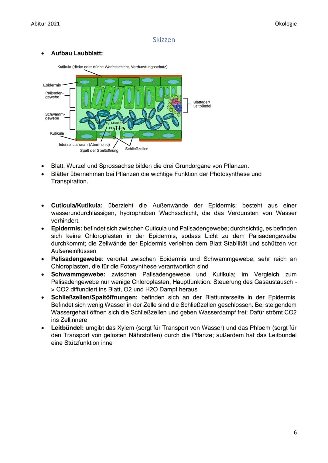 Abitur 2021
●
●
●
Biotop: bestimmter Lebensraum mit bestimmten Gegebenheiten: bestimmte abiotische
Faktoren (Klima, Wasser, Bodenbeschaffenh