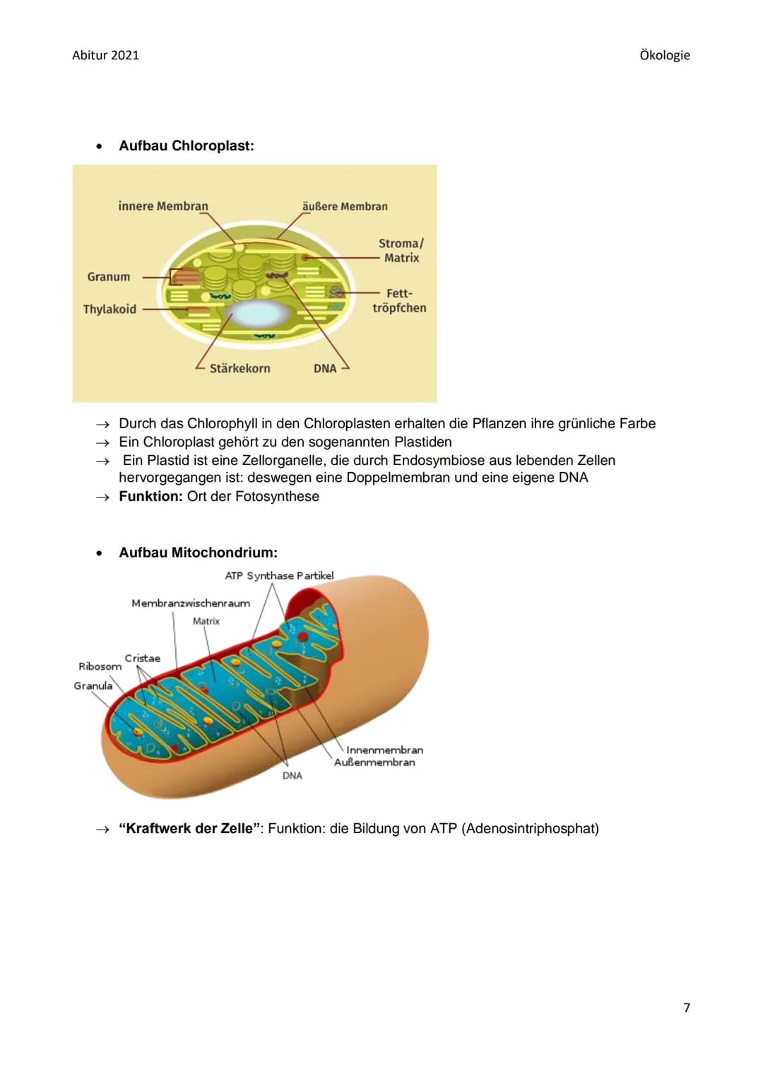 Abitur 2021
●
●
●
Biotop: bestimmter Lebensraum mit bestimmten Gegebenheiten: bestimmte abiotische
Faktoren (Klima, Wasser, Bodenbeschaffenh