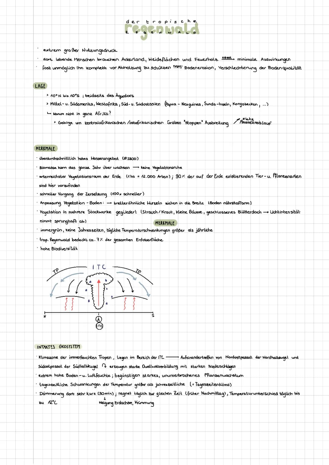 Abitur-Zusammenfassung Tropischer Regenwald (GK)