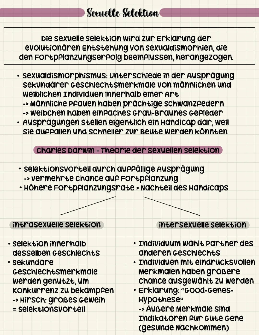 Evolution und Verhalten - sexuelle Selektion 