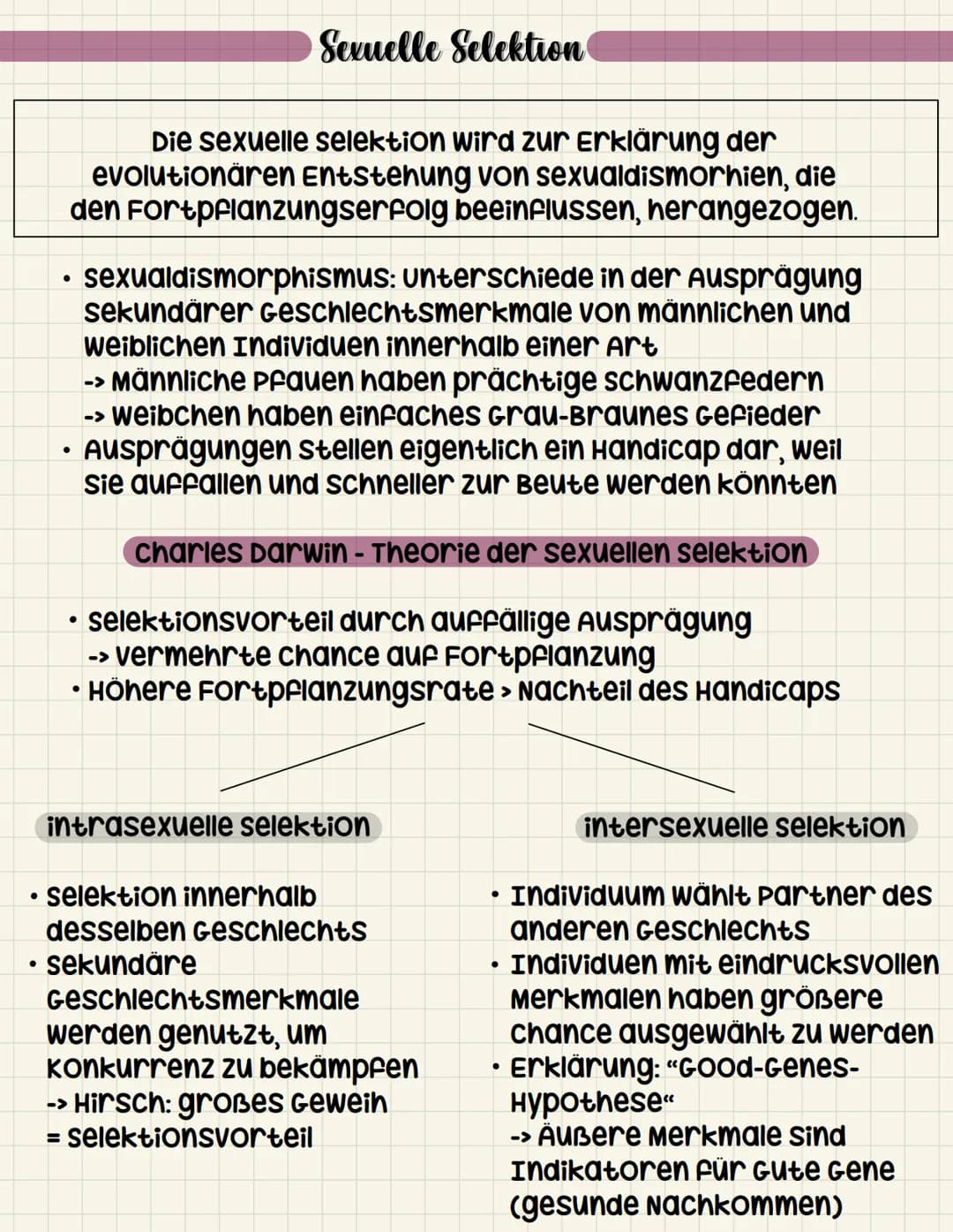 ●
Die sexuelle selektion wird zur Erklärung der
evolutionären Entstehung von sexualdismorhien, die
den Fortpflanzungserfolg beeinflussen, he