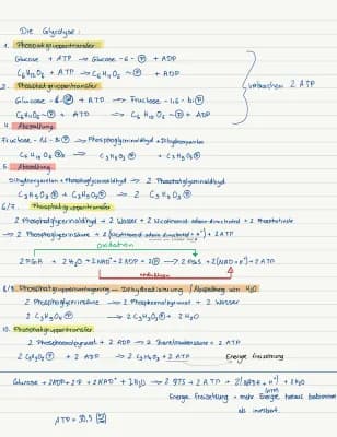 Know Glykolyse  thumbnail
