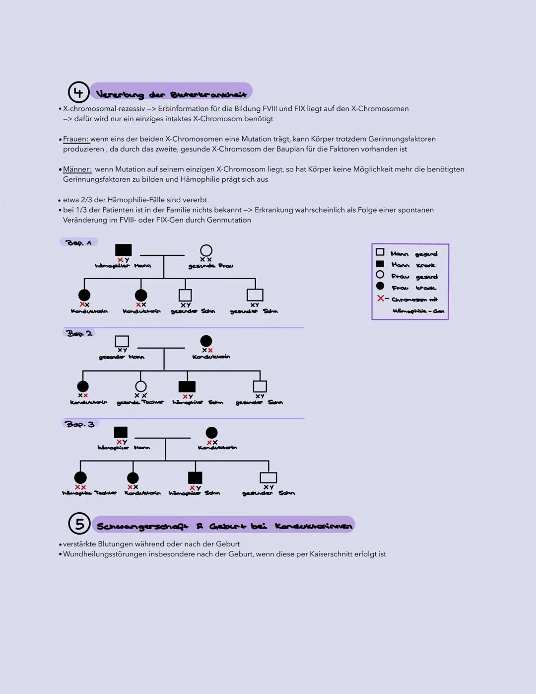 HÄMOPHILIE
BLUTERKRANKHEIT
Definition & Erklärung der Erbkrankheit
griech. ,,haima" = Blut; ,philia" = Neigung
• meist angeborene Störung de