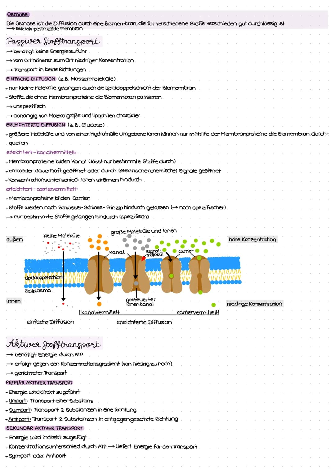ZELL THEORIE
Merke: Zelltheorie Omnis cellula e cellula
↳ Jede Zelle entsteht aus einer Zelle und somit sind alle Lebewesen aus Zellen aufge