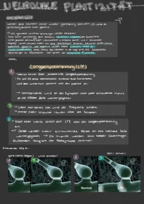 Know Neuronale Plastizität  thumbnail
