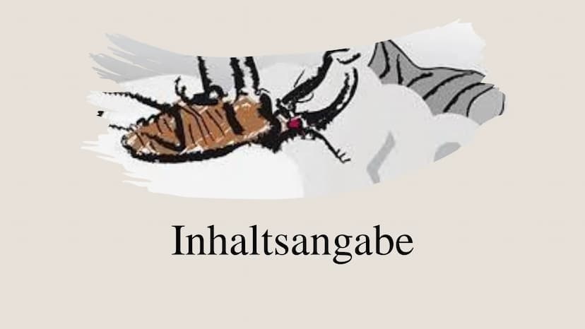 Die Verwand
DIE
VERWANDLUNG
Die Verwandlung
Franz Kafka Inhaltsverzeichnis
Der Autor Franz
Grundlegende
Informationen
Kafka (Biographie,
Bez
