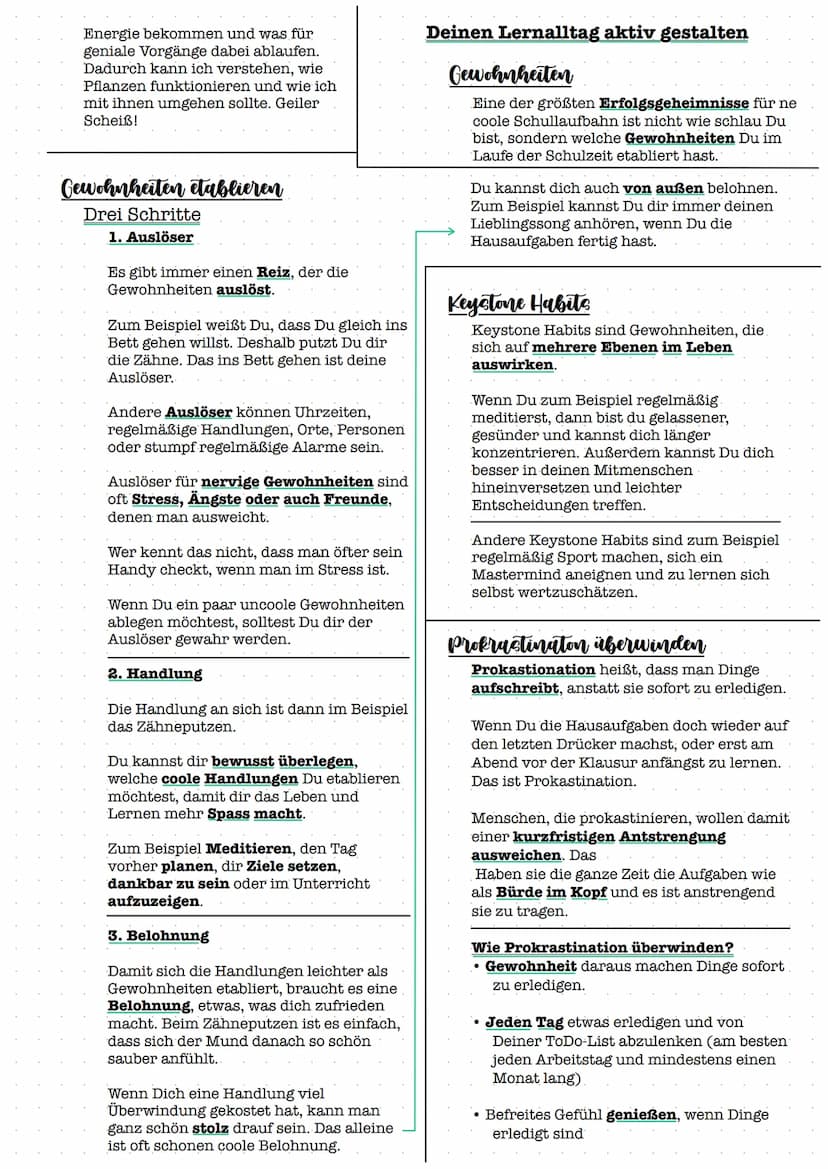 Lerntipps
Basis für deinen Erfolg
Mindset
Um entspannt gute
Noten in der
Schule zu
bekommen, kannst
Du an vielen
Rädchen drehen.
Die Basis i