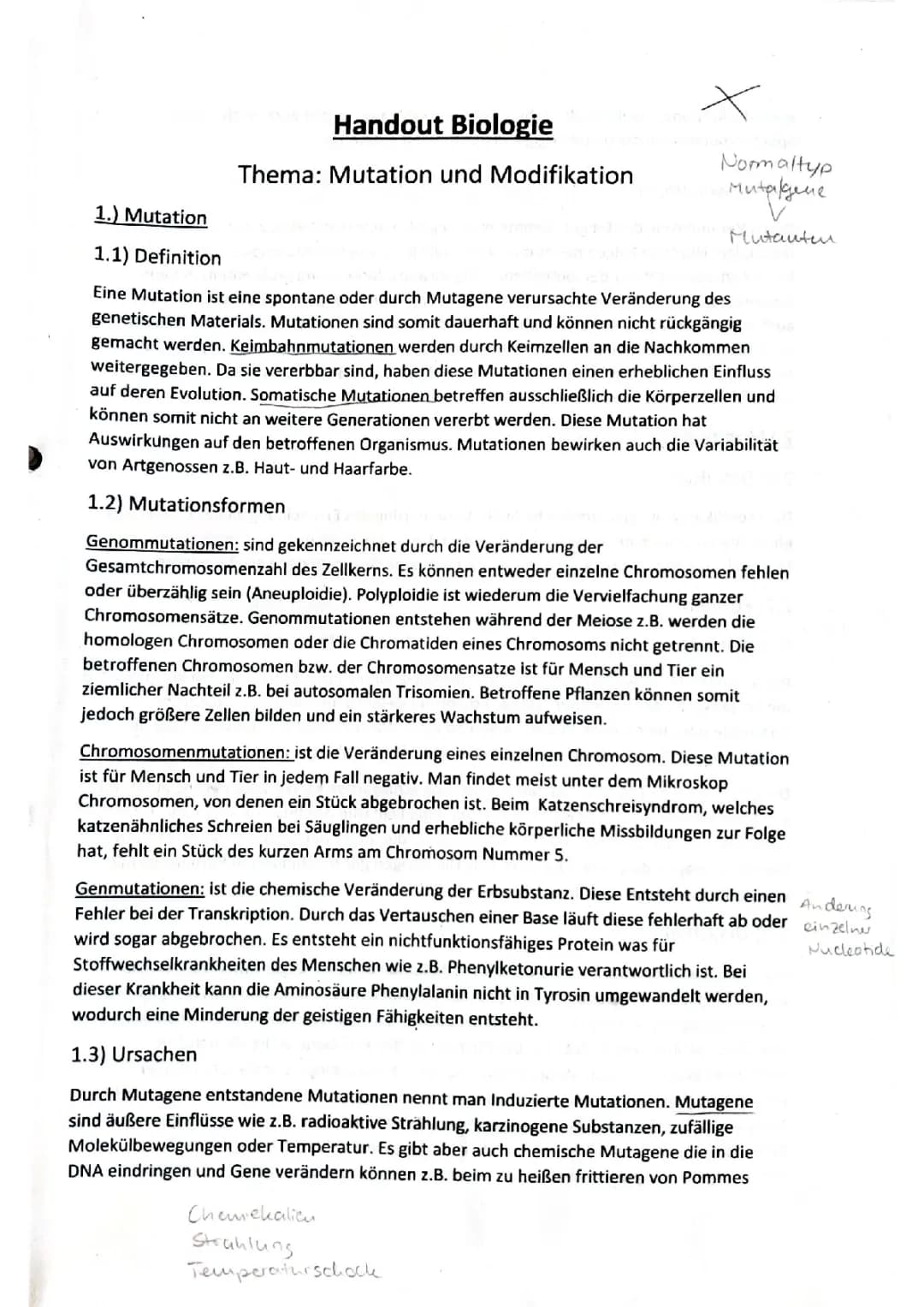 Mutation und Modifikation einfach erklärt: Definitionen und Beispiele