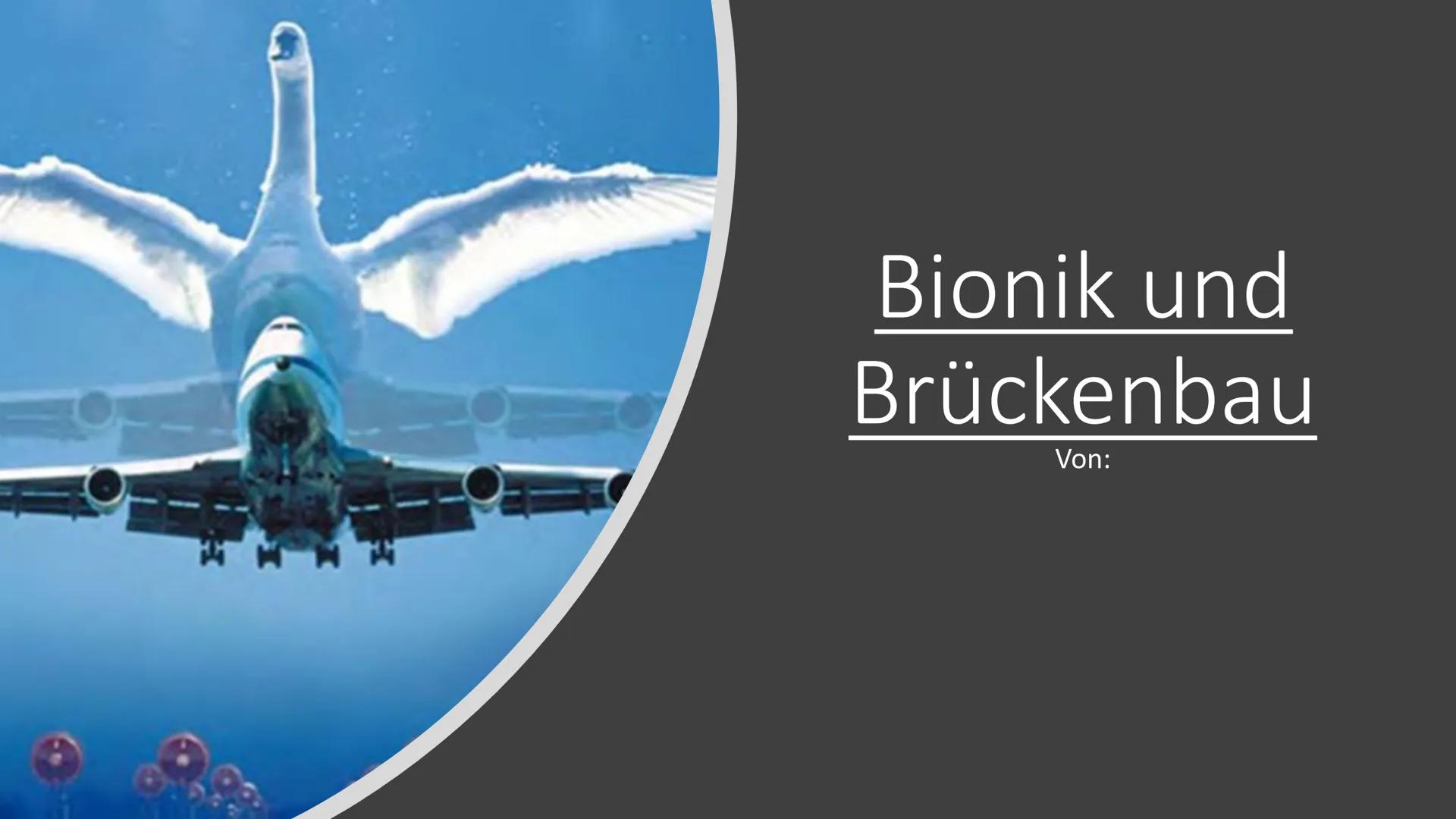 Bionik und
Brückenbau
Von: Dokumentationsmappe
Bionik und
Brückenbau
Datum:
Von:
1 1. Bionik Definition
2. Konstruktionsbionik
2.1 Bionic Ca