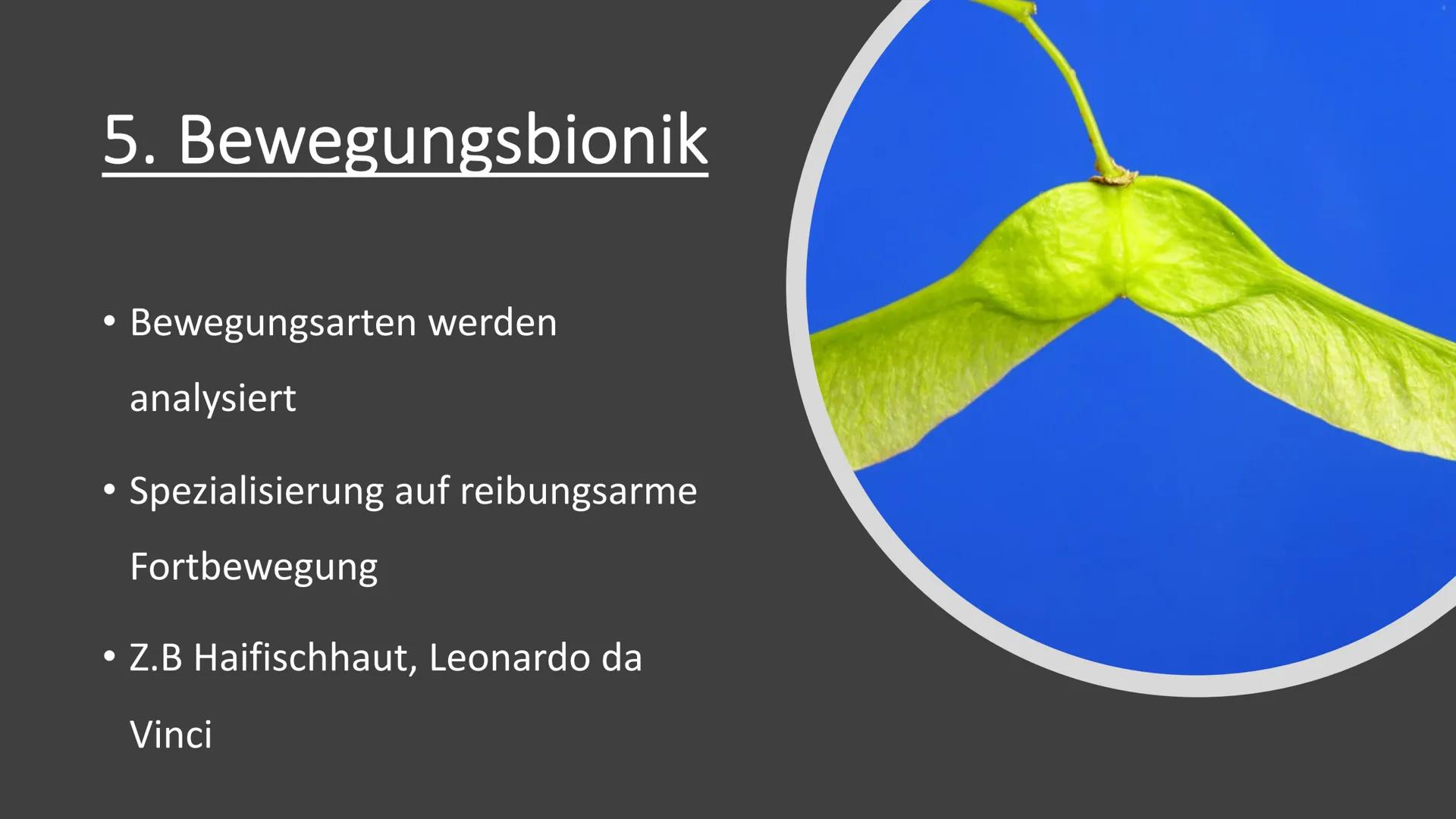 Bionik und
Brückenbau
Von: Dokumentationsmappe
Bionik und
Brückenbau
Datum:
Von:
1 1. Bionik Definition
2. Konstruktionsbionik
2.1 Bionic Ca