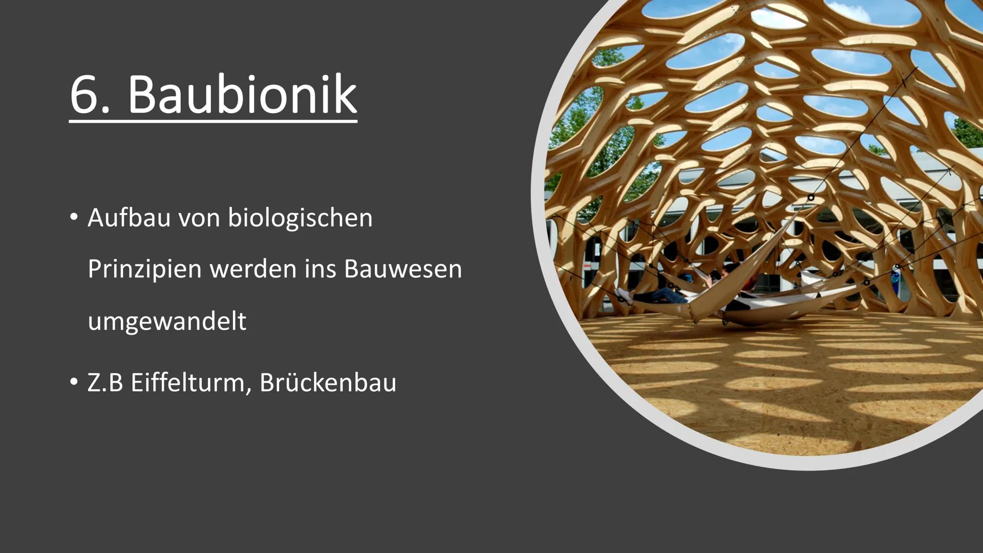 Bionik und
Brückenbau
Von: Dokumentationsmappe
Bionik und
Brückenbau
Datum:
Von:
1 1. Bionik Definition
2. Konstruktionsbionik
2.1 Bionic Ca