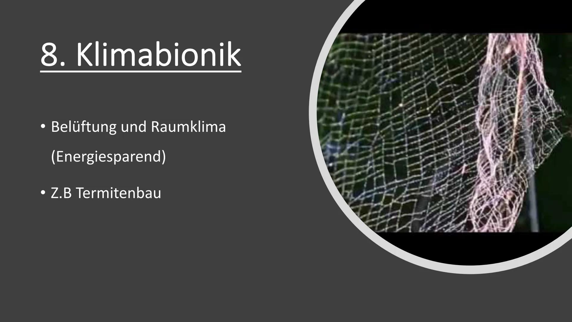 Bionik und
Brückenbau
Von: Dokumentationsmappe
Bionik und
Brückenbau
Datum:
Von:
1 1. Bionik Definition
2. Konstruktionsbionik
2.1 Bionic Ca