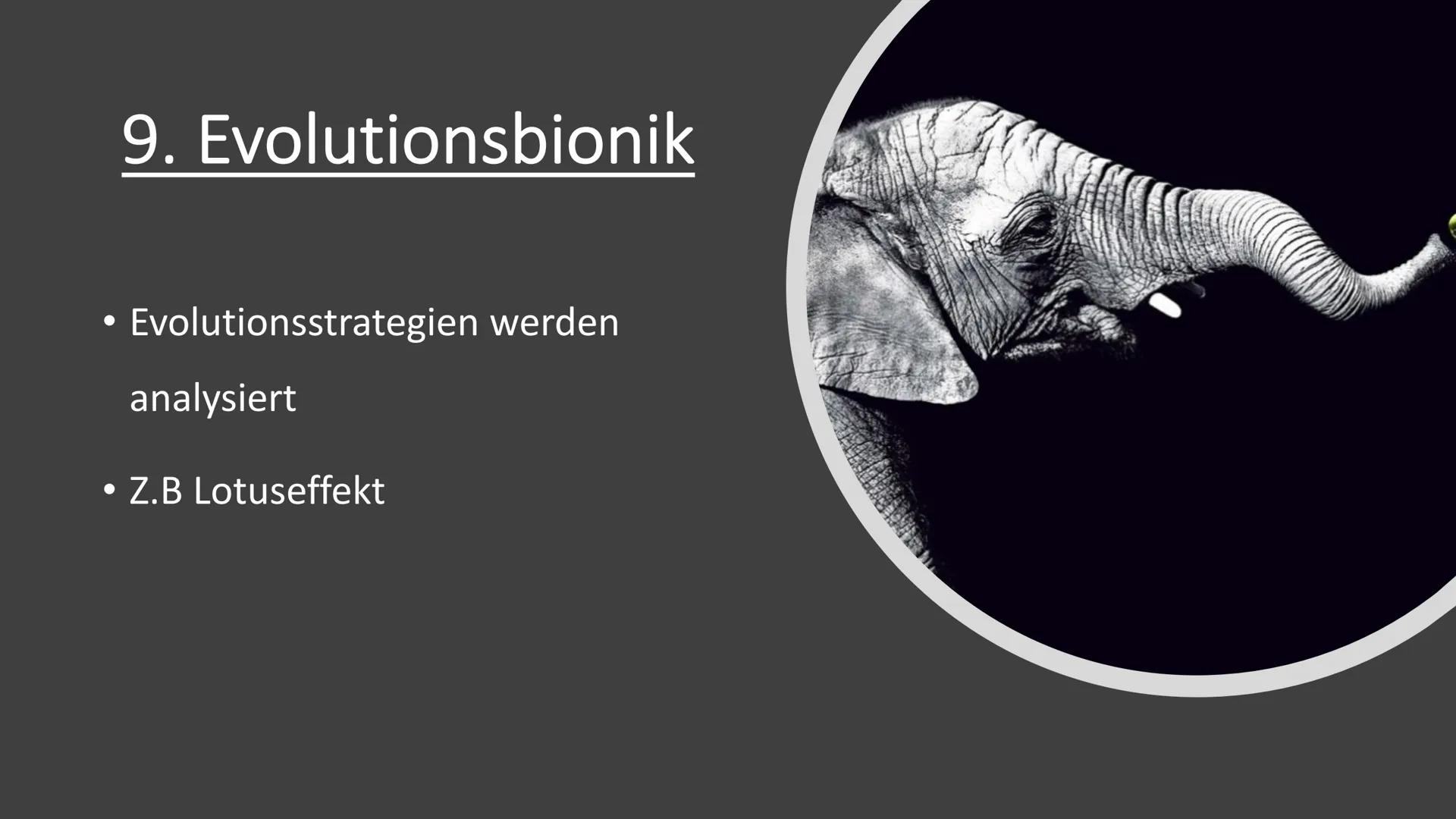 Bionik und
Brückenbau
Von: Dokumentationsmappe
Bionik und
Brückenbau
Datum:
Von:
1 1. Bionik Definition
2. Konstruktionsbionik
2.1 Bionic Ca