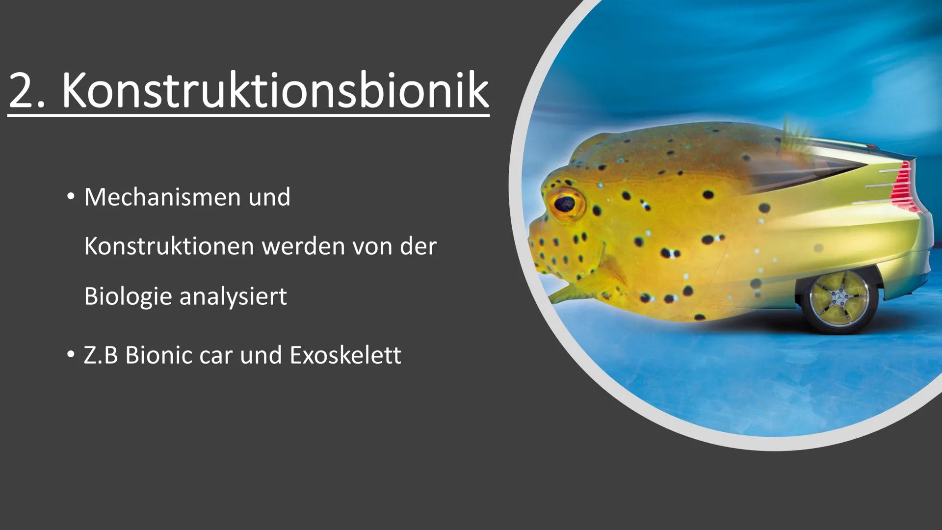 Bionik und
Brückenbau
Von: Dokumentationsmappe
Bionik und
Brückenbau
Datum:
Von:
1 1. Bionik Definition
2. Konstruktionsbionik
2.1 Bionic Ca