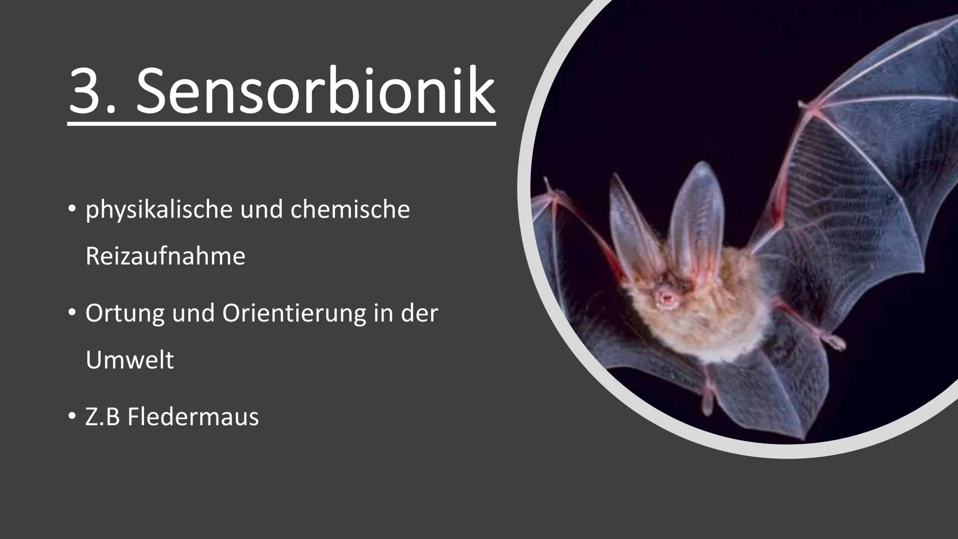 Bionik und
Brückenbau
Von: Dokumentationsmappe
Bionik und
Brückenbau
Datum:
Von:
1 1. Bionik Definition
2. Konstruktionsbionik
2.1 Bionic Ca