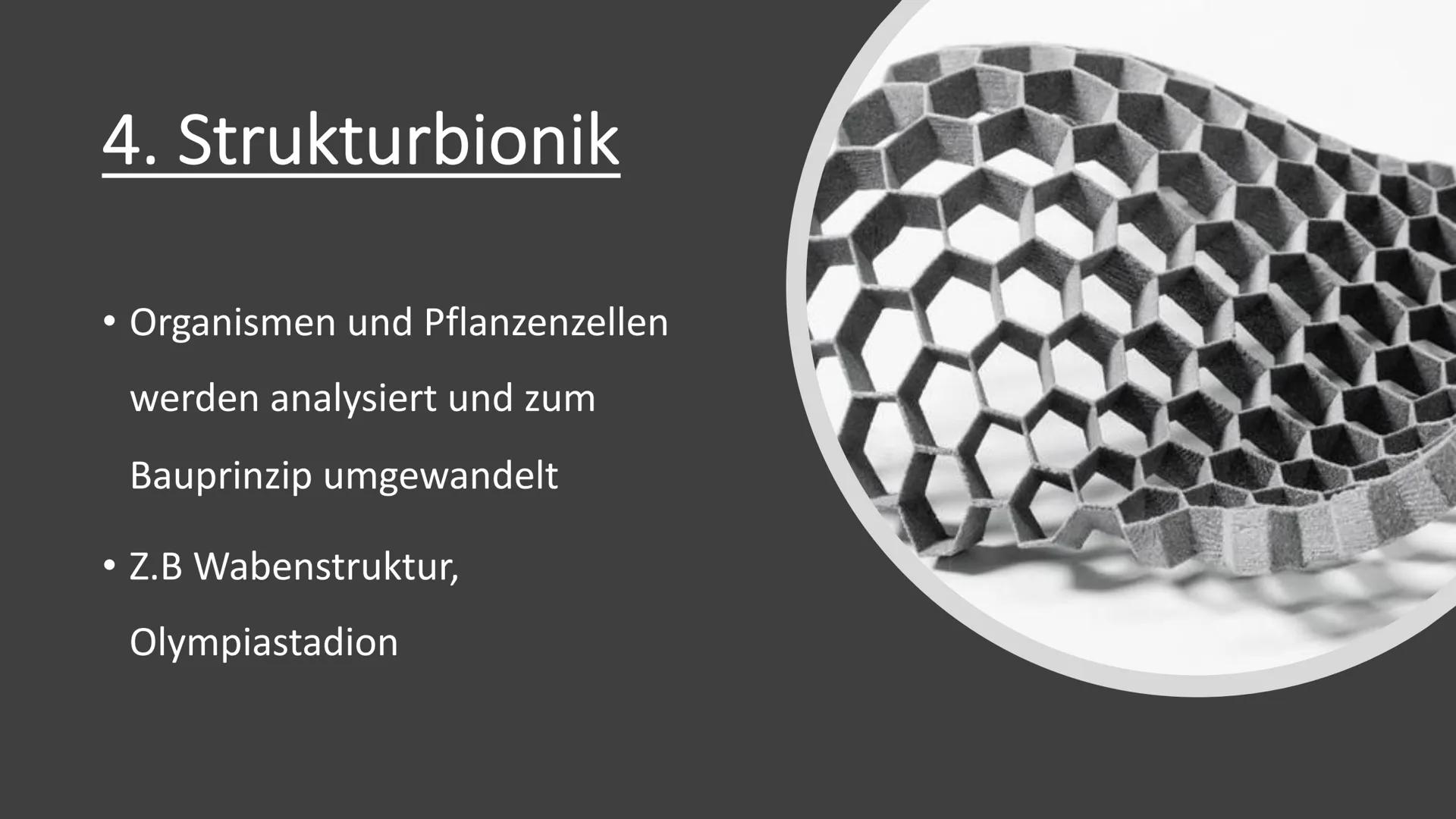 Bionik und
Brückenbau
Von: Dokumentationsmappe
Bionik und
Brückenbau
Datum:
Von:
1 1. Bionik Definition
2. Konstruktionsbionik
2.1 Bionic Ca