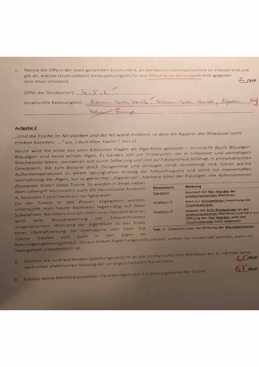 a.
1
2
✓ zwischen den geschriebenen Zeilen eine Zeile frei lassen
✓auf Fachvokabular, Rechtschreibung, Zeichensetzung achten Seiten nummerie