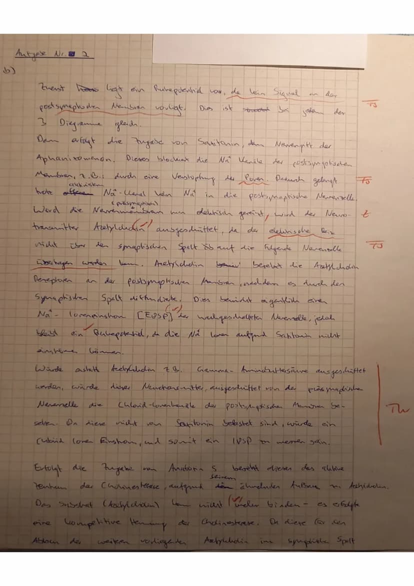 a.
1
2
✓ zwischen den geschriebenen Zeilen eine Zeile frei lassen
✓auf Fachvokabular, Rechtschreibung, Zeichensetzung achten Seiten nummerie