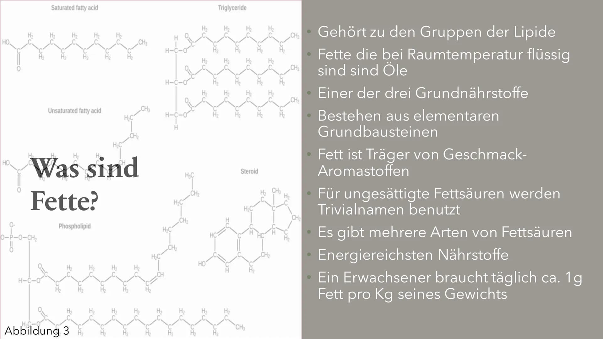 AG
Fette&Fettsäuren
Berfin Cepik
13ch1
Abbildung 1 Gliederung
Was sind Fettsäuren
Was sind Fette?
Aufbau
Eigenschaften
Funktion
Vorkommen
Ve