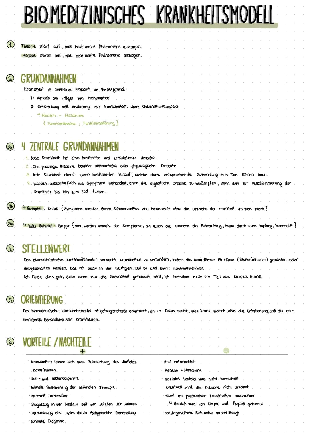 Biomedizinisches Modell