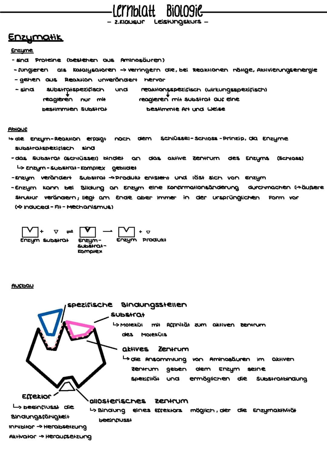 Biologie Enzymatik & Stoffwechsel 