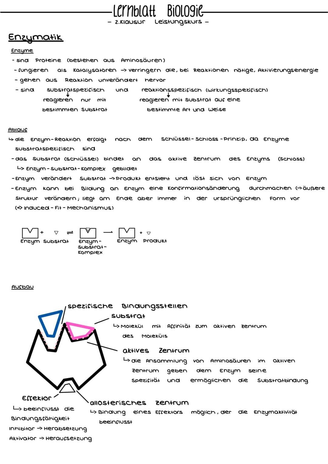 Enzymatik
Enzyme
- sind Proteine (bestehen aus Aminosäuren)
- fungieren als katalysatoren -> verringern die, bei Reaktionen nötige, Aktivier