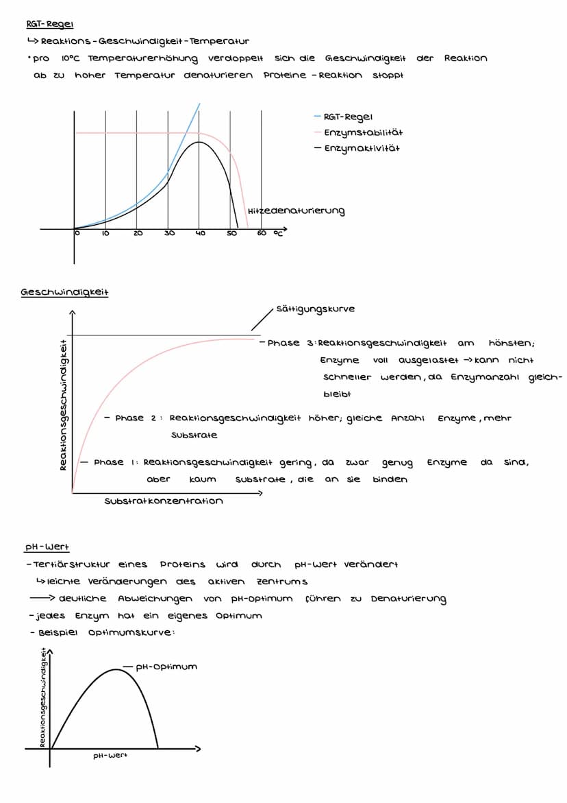Enzymatik
Enzyme
- sind Proteine (bestehen aus Aminosäuren)
- fungieren als katalysatoren -> verringern die, bei Reaktionen nötige, Aktivier