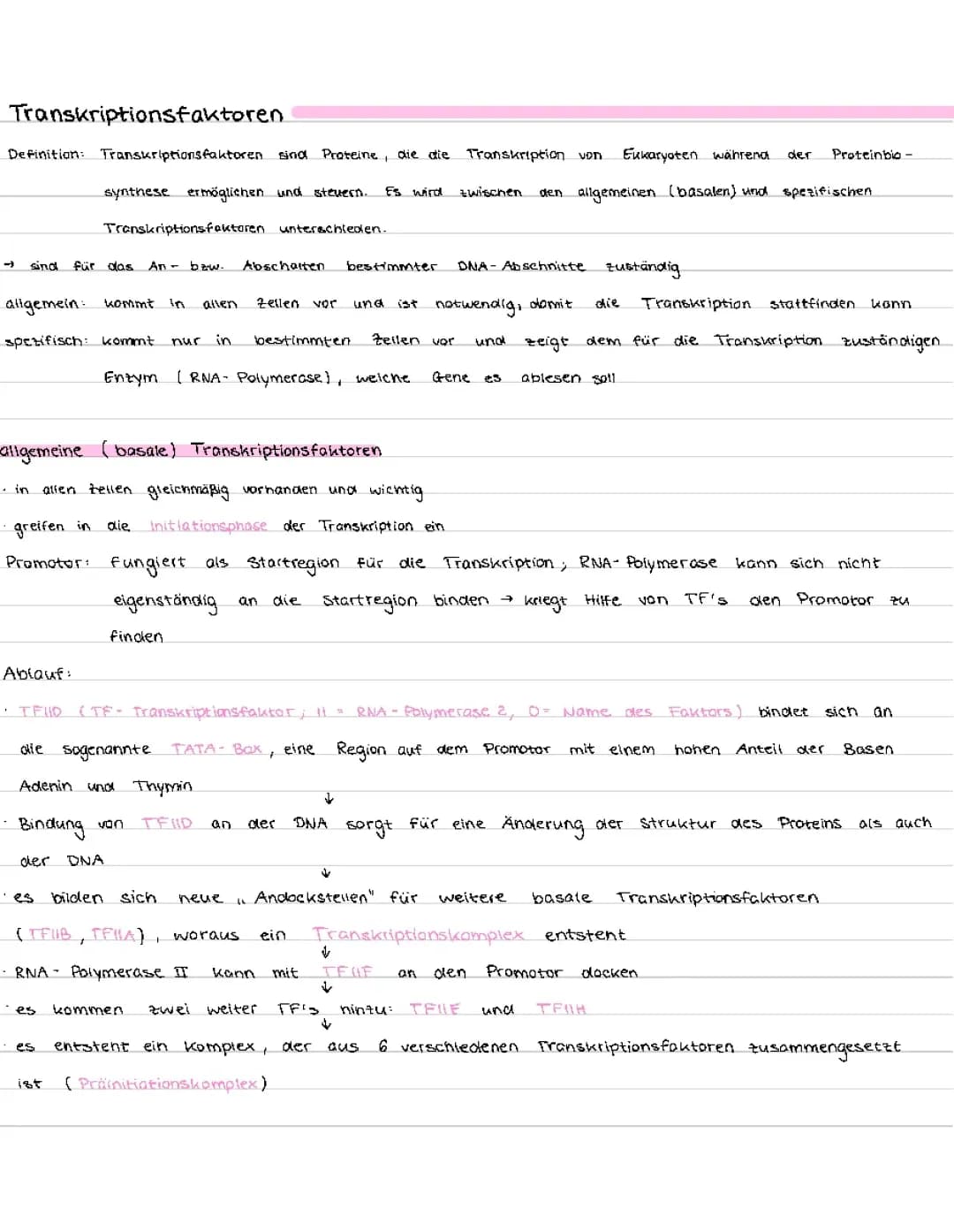 Transkriptionsfaktoren