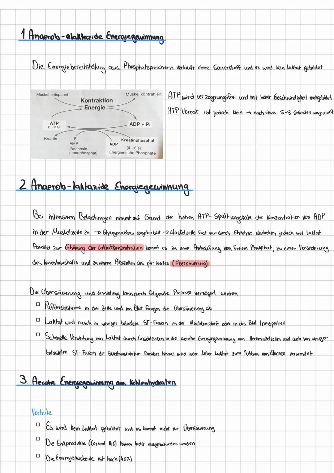 3.5 Allgemeine Ausdauerfähigkeiten
Allgemeine aerobe Ausdauer (aerobe Kapazität)
Die Belastungsintensität veicht bis zur anaeroben Schwelle 