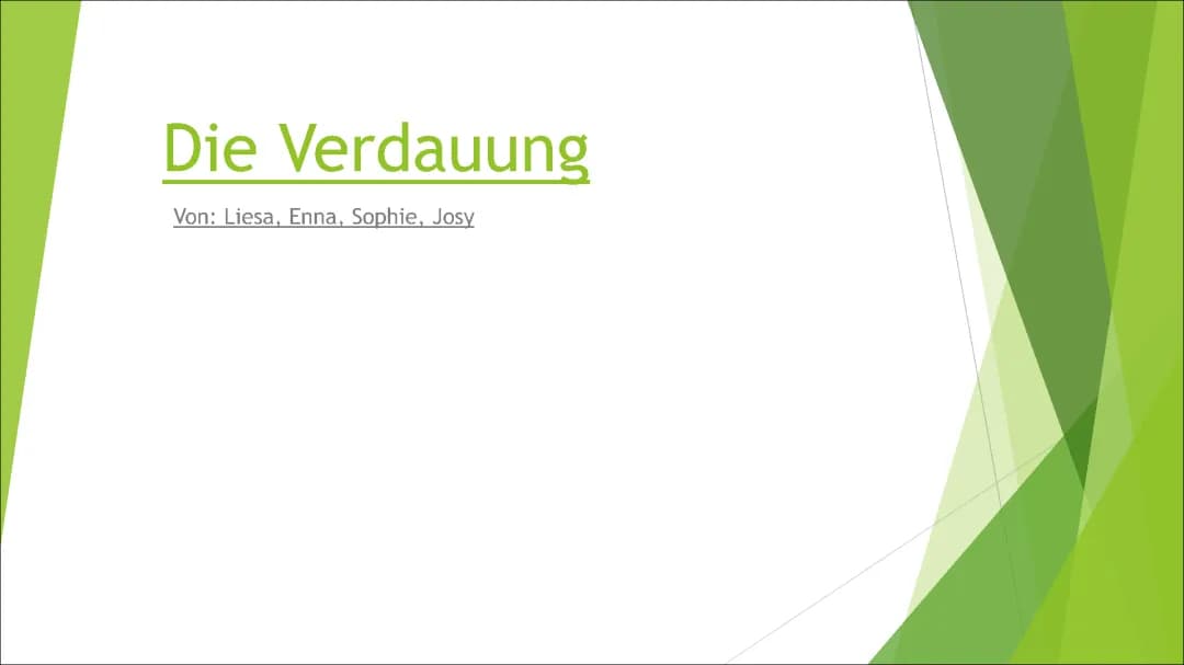 Verdauung für Kinder: Reihenfolge, Verdauungssystem, Galle und Bauchspeicheldrüse