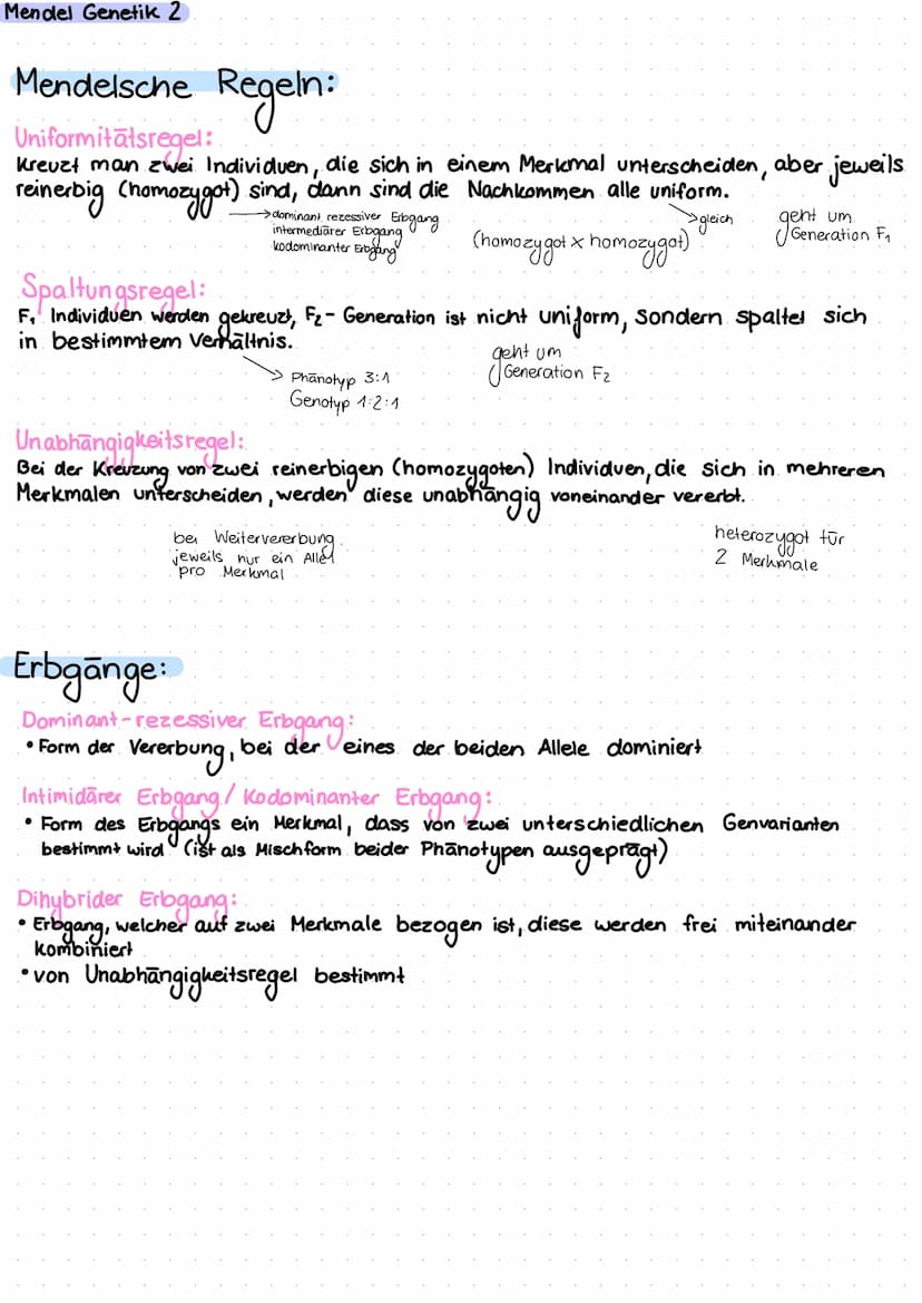 Mendel Genetik,
Grundbegriffe:
Phānotyp: •außeres Erscheinungsbild (der Nachkommen)
sichtbare Eigenschaffen eines Organismus
Genotyp: • gene
